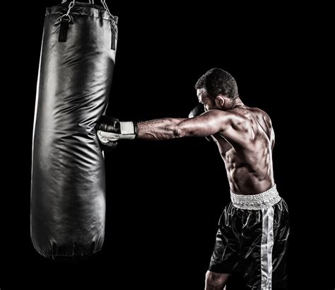 Fitness boxing. Things To Know About Fitness boxing. 